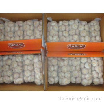 Normaler weißer Knoblauch verpackter Karton 1Kg 10bags